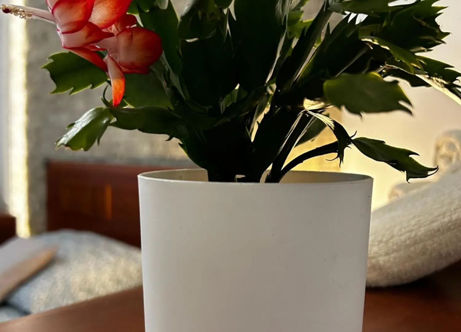 M&M Apartament Glogera Kraków