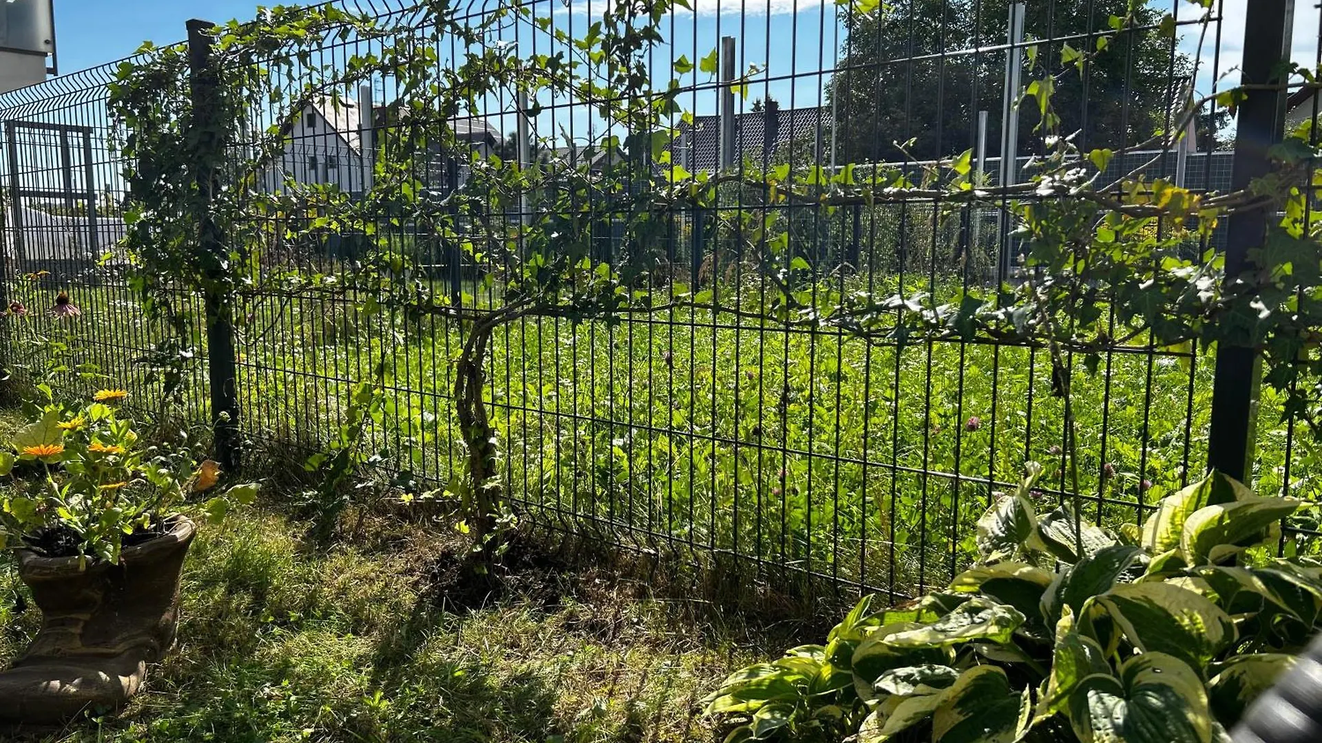 M&M Apartament Glogera Kraków Lägenhet